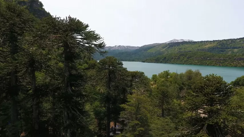 Laguna El Barco, Alto Biobío. // Fotografía propiedad exclusiva de El Contraste.cl. © Todos los derechos reservados.