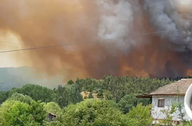 El fuego avanza rápidamente en la comuna de Nacimiento durante la jornada del jueves 16 de enero, ya que hubo vientos sobre 50 kilómetros por hora. Imagen: Facebook ElNacimentanocl