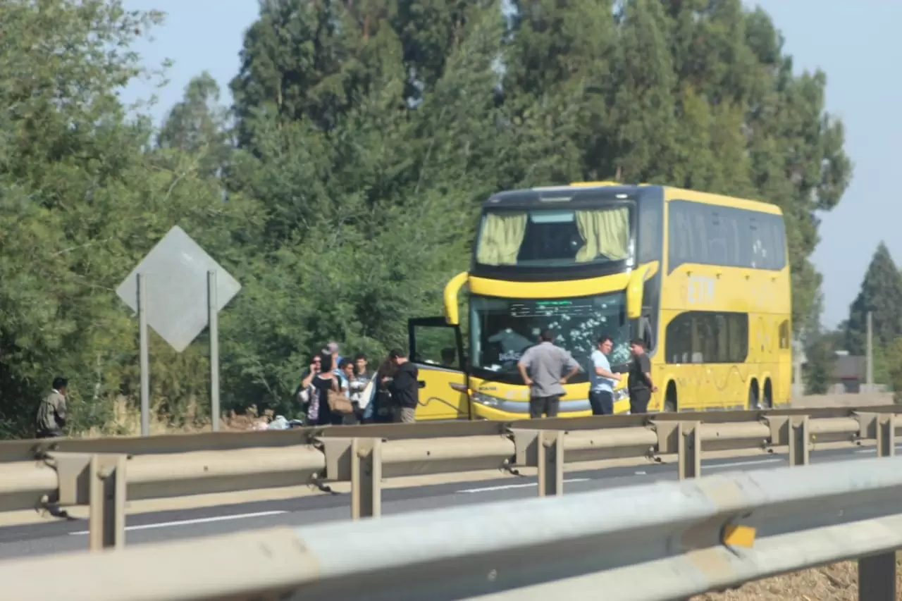 // Fotografía propiedad exclusiva de El Contraste.cl. © Todos los derechos reservados.