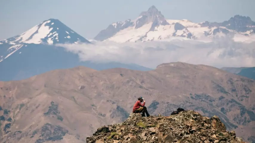 Los expertos continuarán monitoreando hasta ver si se encuentra esta especie en la cordillera de Biobío.
