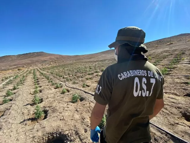 Carabineros