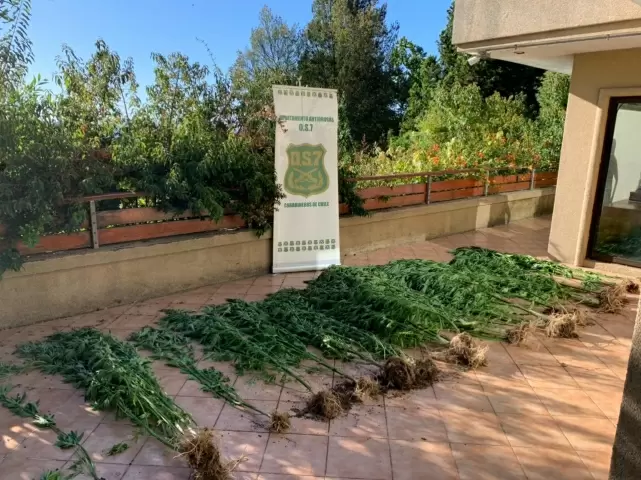 Carabineros