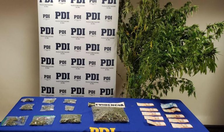 Negrete: PDI detiene a una madre y su hijo por tráfico de marihuana