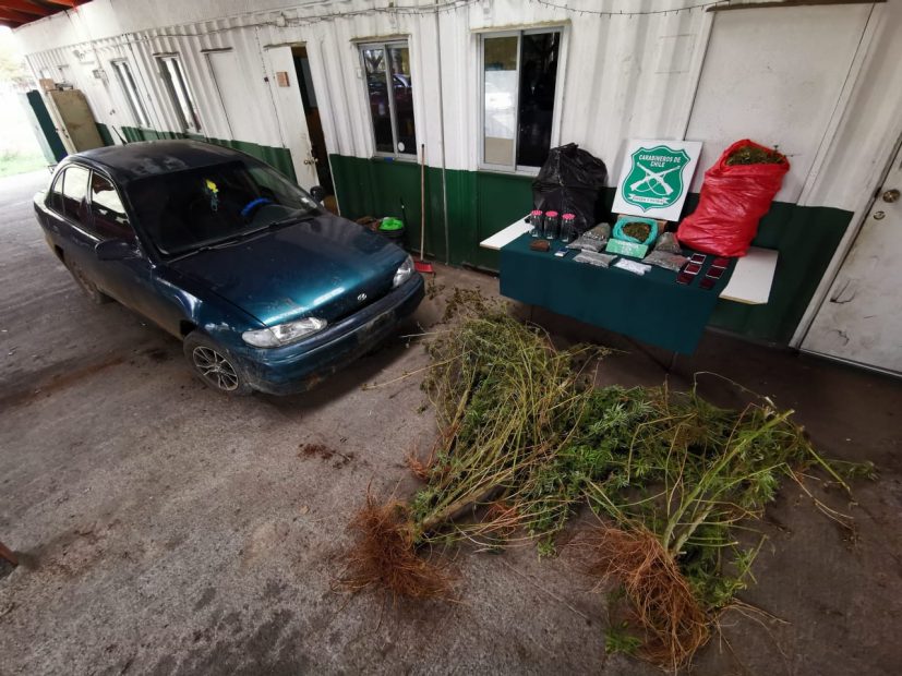 Carabineros de Cañete incautó más de 13 kilos de droga