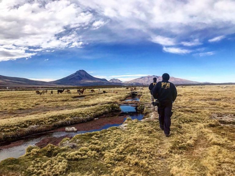 PDI investiga la muerte de una extranjera en la frontera con Bolivia