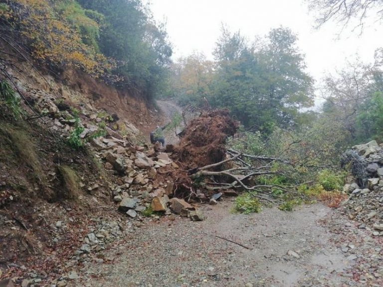 Cortes de camino marcan el sistema frontal en la provincia de Biobío