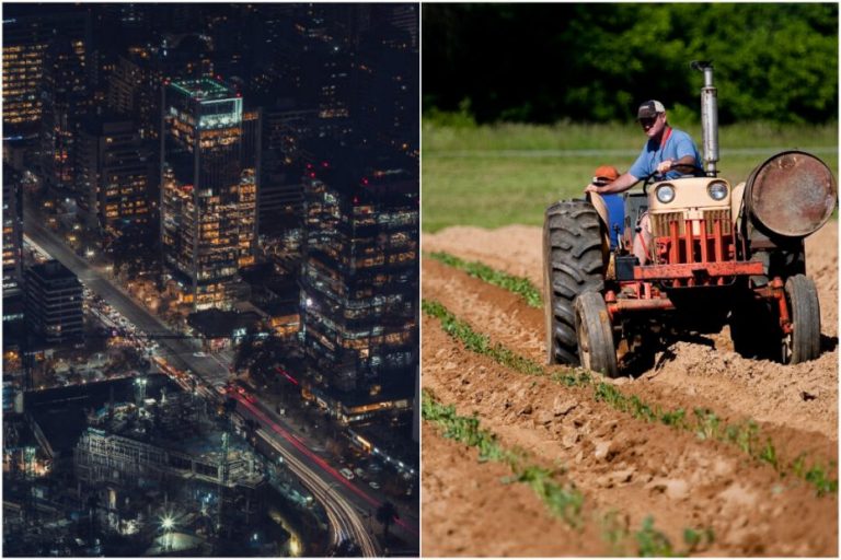 Conozca cuáles son las comunas 100% urbanas y 100% rurales del país