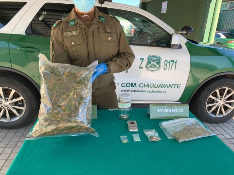 Detienen a sujeto con hongos alucinógenos, éxtasis y 2 carpas con marihuana