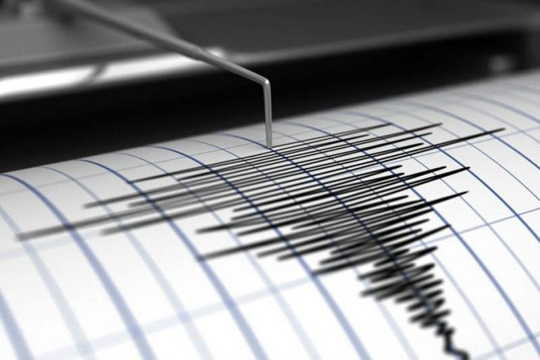 Un leve sismo afectó la zona centro sur de país con epicentro en el Biobío