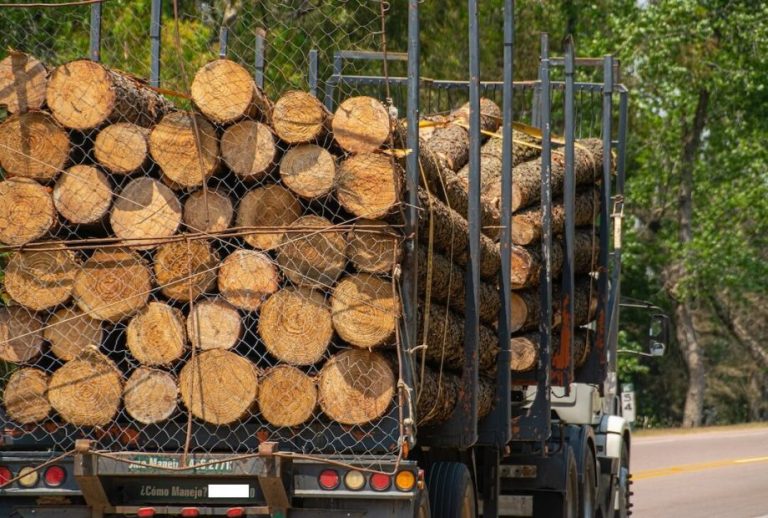 Sujeto de 28 años fue detenido por robo de madera en Mulchén