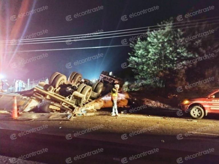 Conductor murió aplastado en su cabina tras colisión de camiones en Mulchén