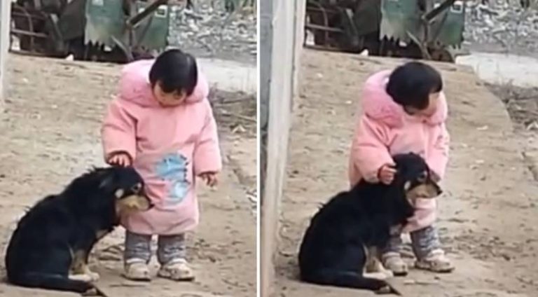 El tierno gesto de una niña con perrito asustado por los fuegos artificiales