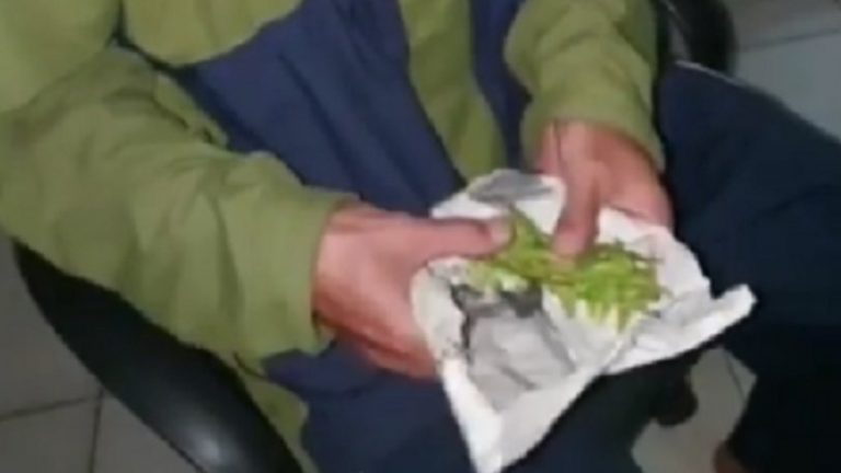 Compró marihuana y recibió hojas de apio: Hombre se hizo viral tras denunciar el engaño a la policía