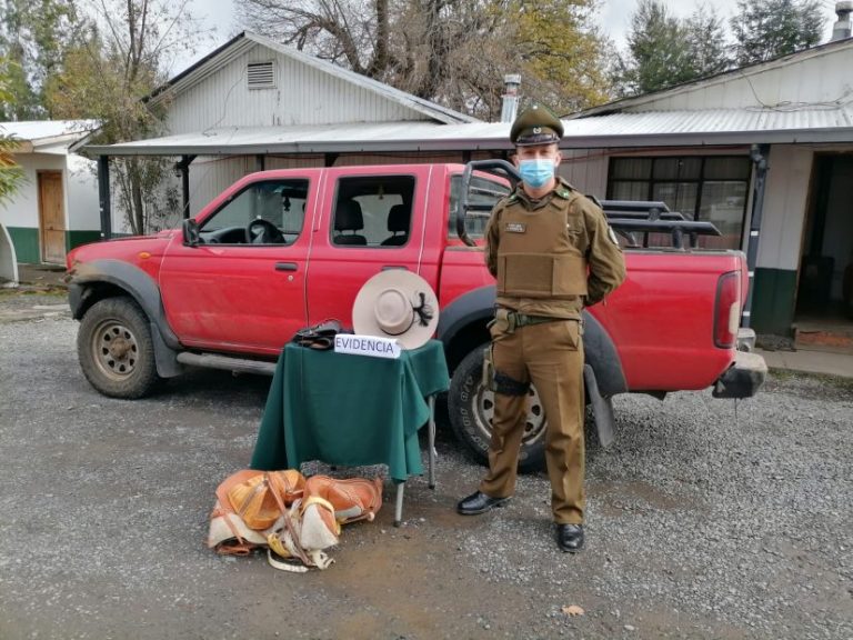 Cuatro detenidos dejó robo y receptación de especies en Santa Bárbara