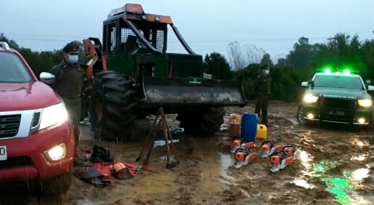 Carabineros desarticula faena clandestina dedicada al robo de madera