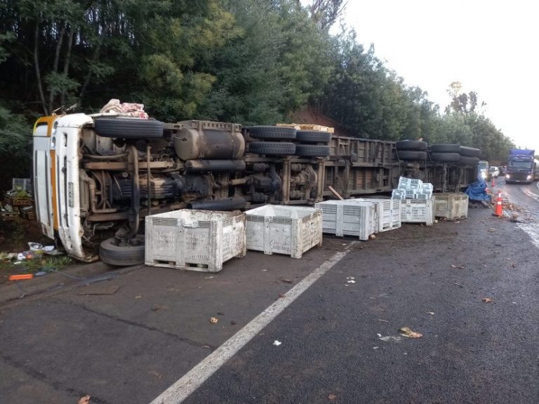 Camión con cebollas volcó en la ruta 5 Sur cerca de Mulchén