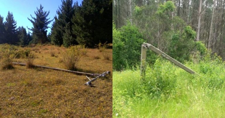 Frontel presenta querella por robo de cables en Yumbel: fueron más de 900 metros sustraídos