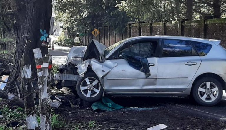 Gendarme murió tras chocar contra un árbol en Angol