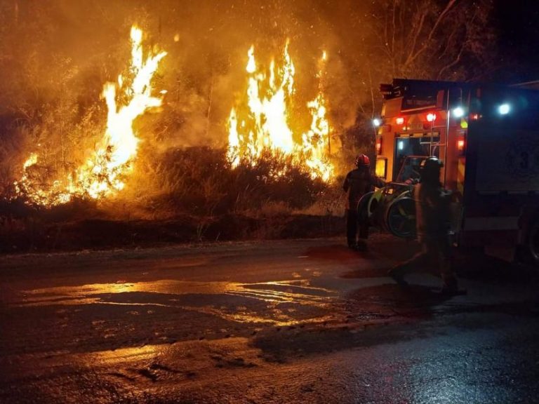 Bomberos de Mulchén combatió incendio de gran magnitud en el Salto del Rehuén