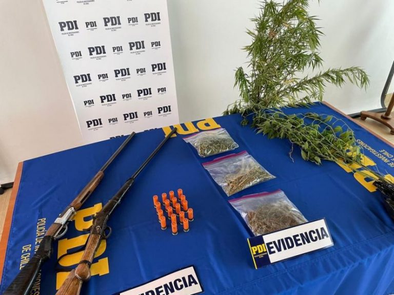 Yumbel: detienen a persona que tenía plantas de marihuana y dos escopetas