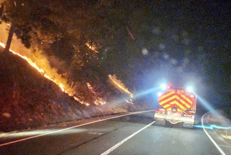 Muertes por incendios suben a 24: en el Biobío se concentra la mayor cantidad de víctimas