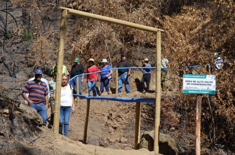 Más de 200 personas vuelven a tener agua potable en su hogar tras incendios rurales