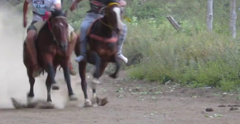 Carrera a la Chilena en Angol terminó en homicidio