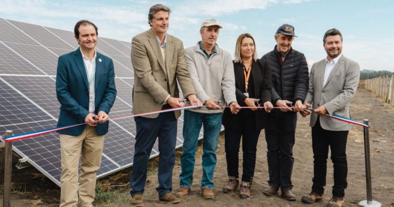 Lácteos Matthei y Colbún inauguran planta de energía solar en Yumbel