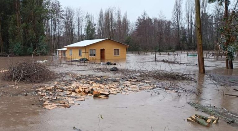 Decretan alerta amarilla para las comunas ribereñas al río Biobío por amenaza de desborde