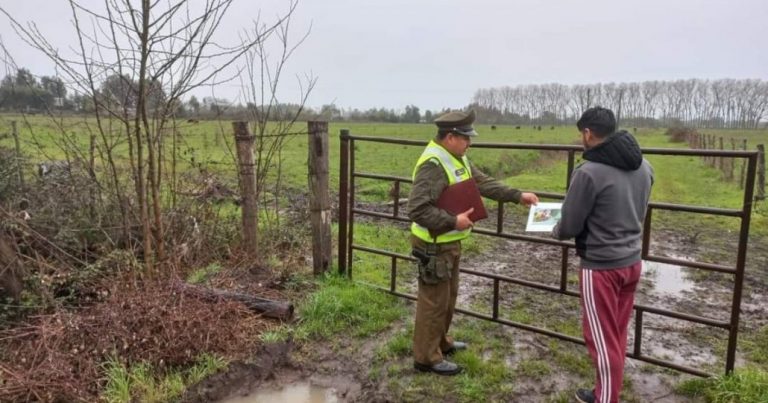 Carabineros del Retén Santa Fe realizan campaña contra el abigeato en Los Ángeles