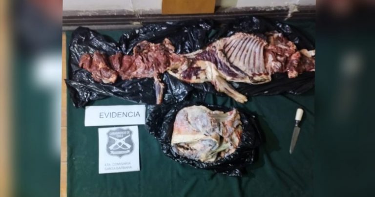 Con carne robada y manejando en estado de ebriedad, fue detenido un sujeto en Santa Bárbara