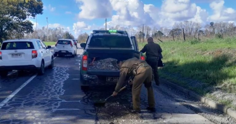 Tras demora del Gobierno Carabineros reparó unos baches y ahora se piden explicaciones