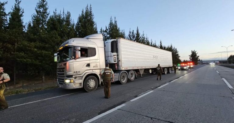 Delincuentes roban millonaria carga de salmones y secuestran a su conductor en Mulchén