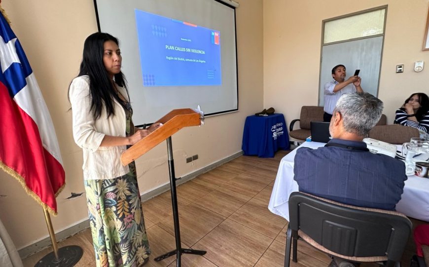 Delegada Paulina Purrán y seguridad en Los Ángeles: «han disminuido los delitos»